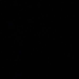 Meet your Posher, Lizbeth